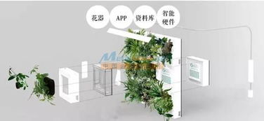 智能绿植墙代理专业提供 河南润庭装饰工程